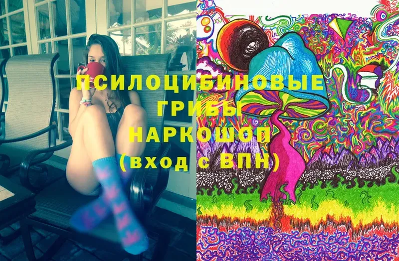 Псилоцибиновые грибы Psilocybine cubensis  Валдай 