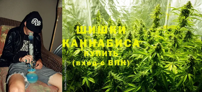 Шишки марихуана OG Kush  Валдай 